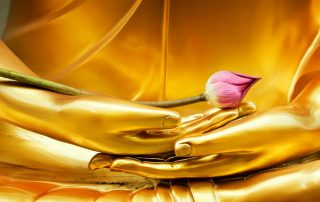 A golden statue of the sacred virgin - Jillian Frazin - Blessings of Jasmine