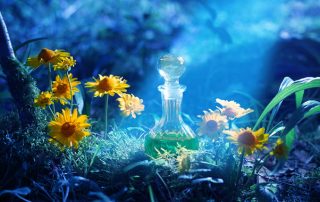 A bottle of enchanted liquid in a magical forest - Jillian Frazin - Blessings of Jasmine